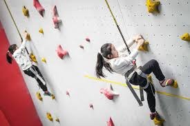 纽约洋基队刷新单季全队本垒打数纪录